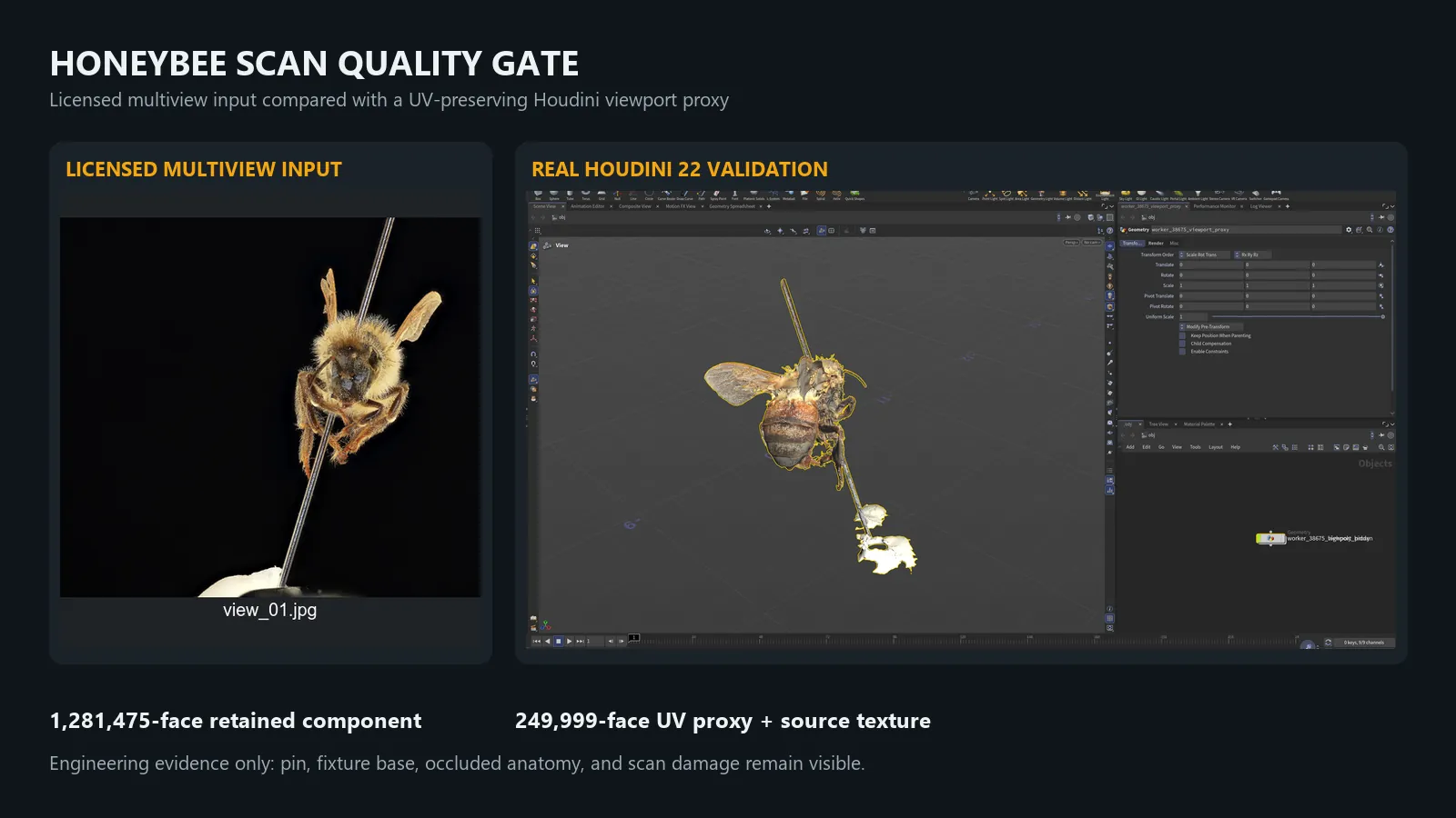 Licensed multiview input and real Houdini 22 high-poly proxy validation