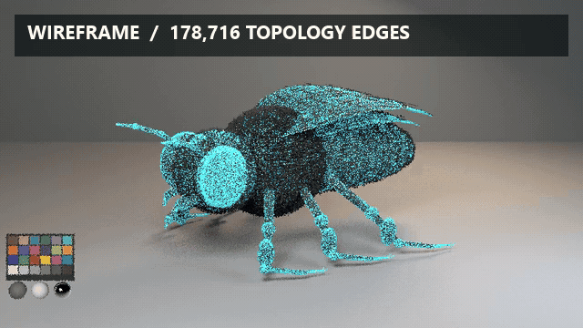 Houdini 22 procedural honeybee LookDev turntable