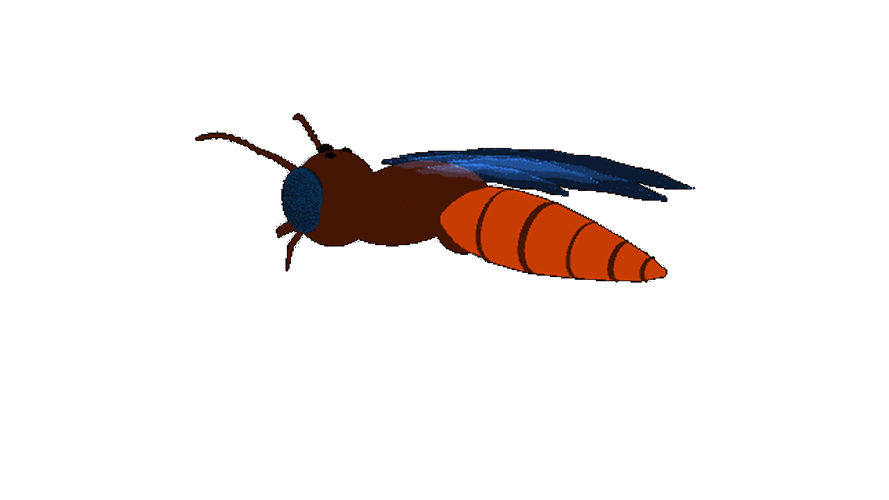 Houdini honeybee animation synchronized into Maya and rendered with Arnold