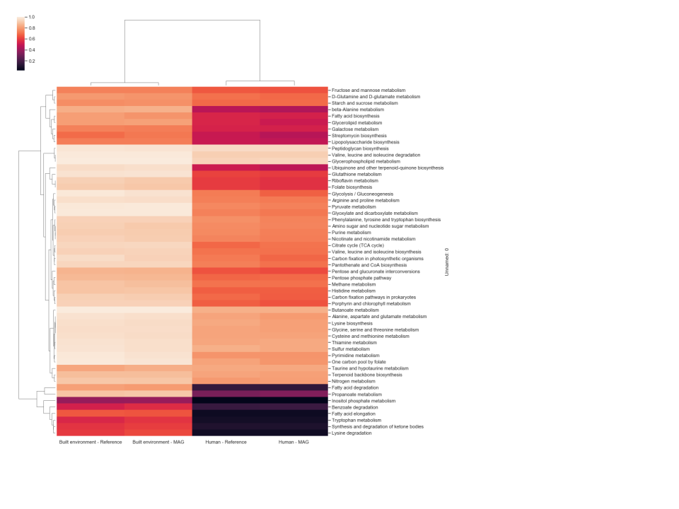 Clustered heatmap of comparison of pathways in GEMs and proximal RefSeq isolate genomes