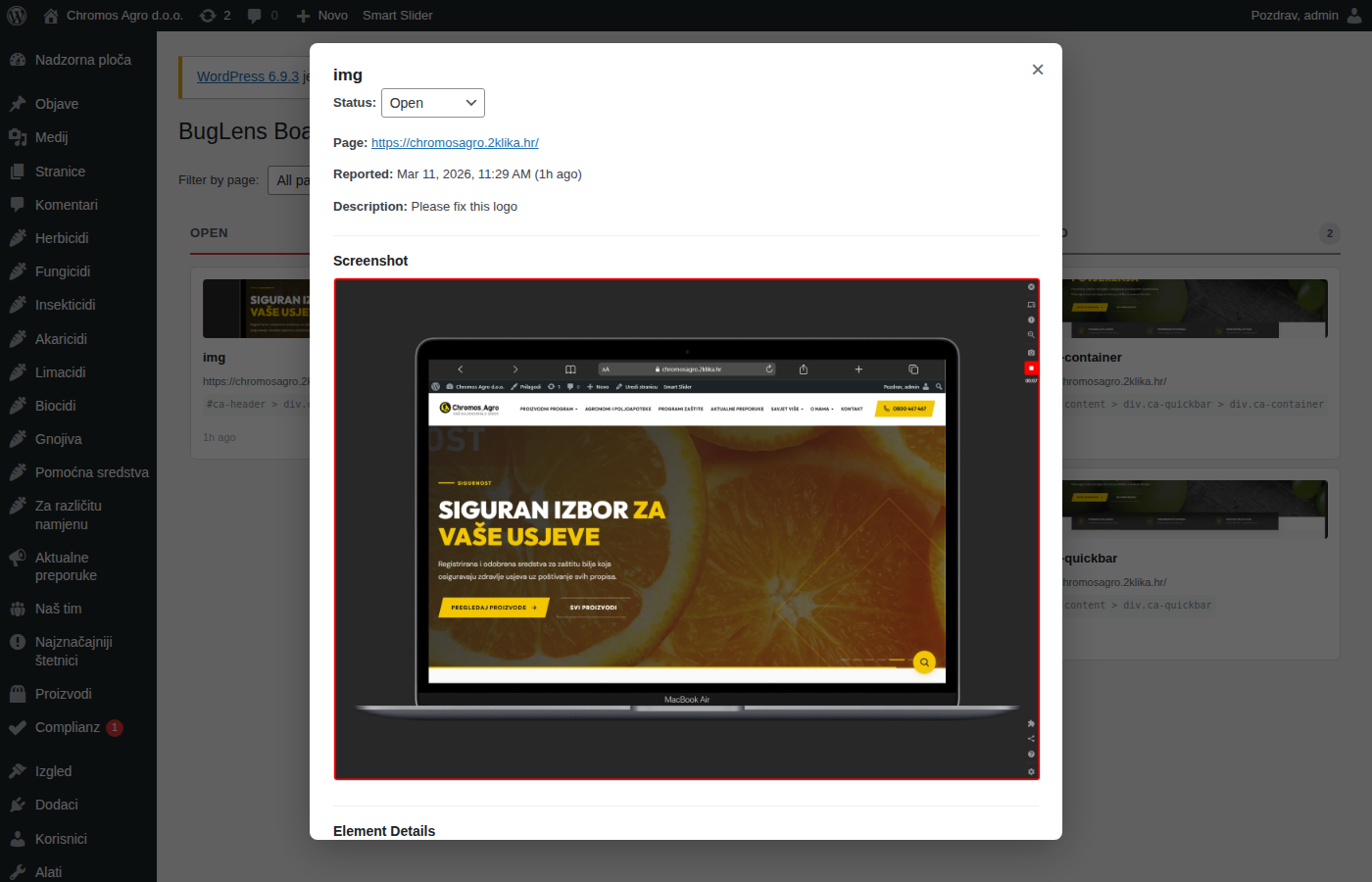 Report Modal
