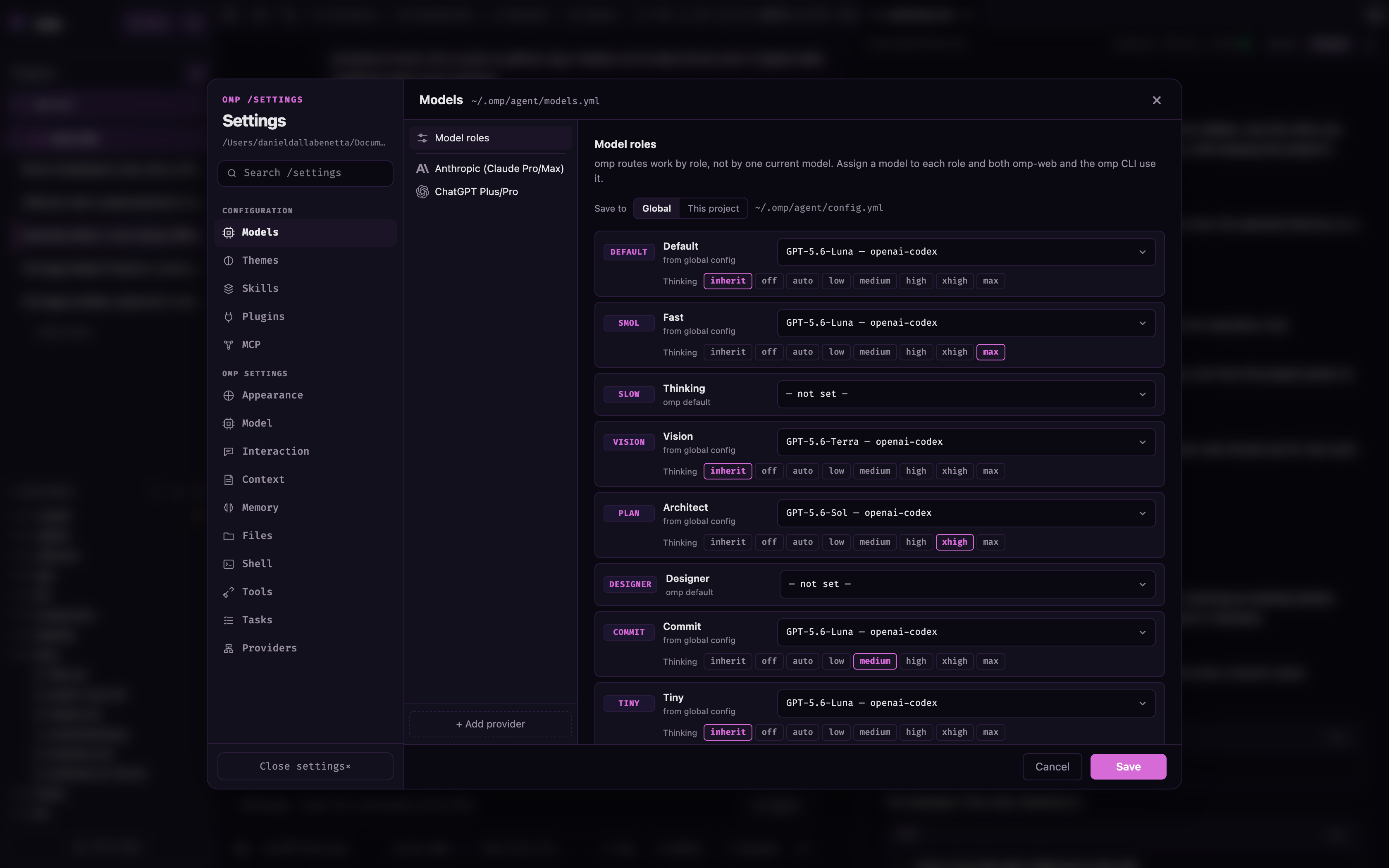 Settings panel showing model role assignments