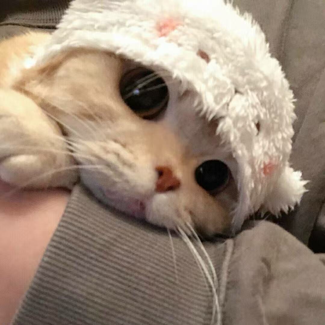 宇熙