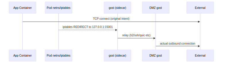 transparent proxy redirect flow