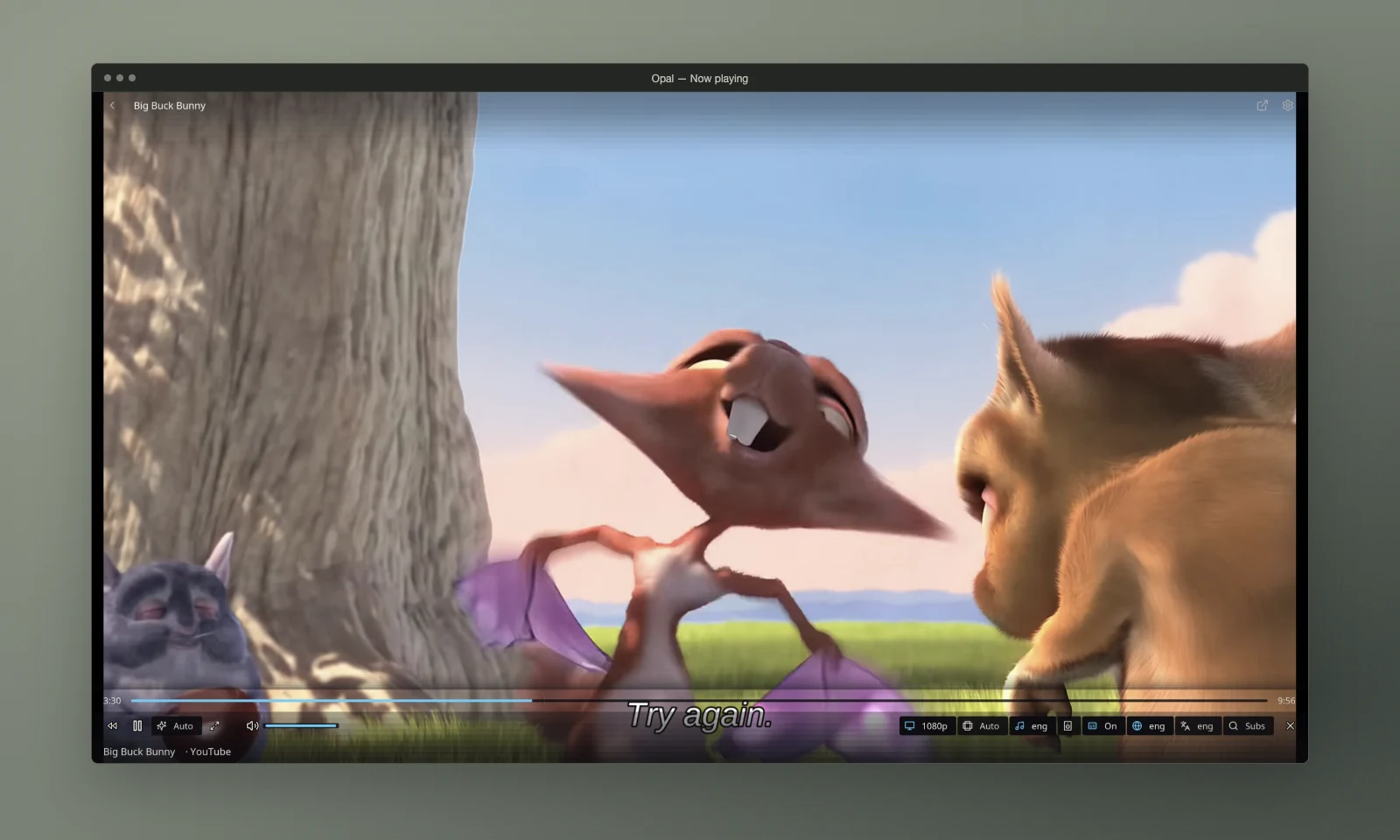 Big Buck Bunny playing in Opal with audio, subtitle, and translation controls.