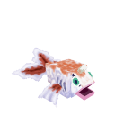 Goldeen