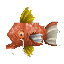 Magikarp