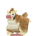 Pidgey
