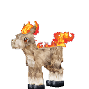 Ponyta