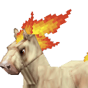 Rapidash