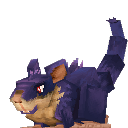 Rattata