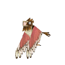 Spearow