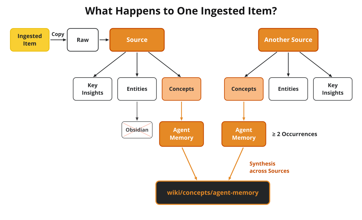 What happens to one ingested item: copied to raw/, distilled into a source page with key insights, entities and concepts — and when a concept reaches ≥2 sources, a synthesized concept page materializes