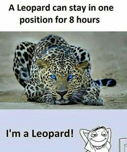 Programming Meme #1178