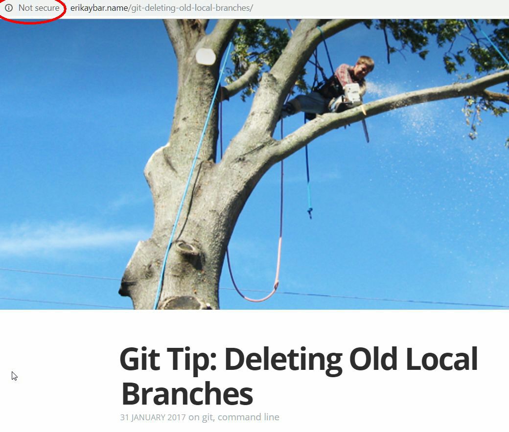 Programming Meme #1243