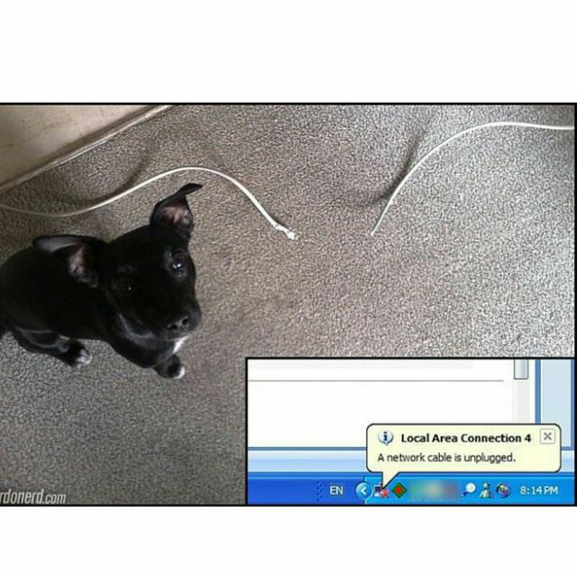 Programming Meme #1250