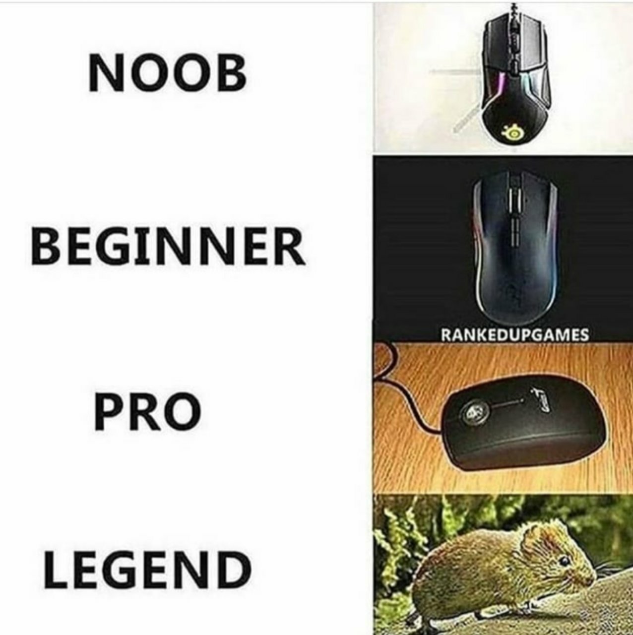 Programming Meme #1385