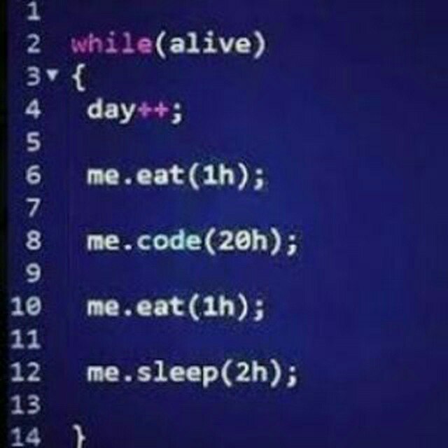 Programming Meme #1395