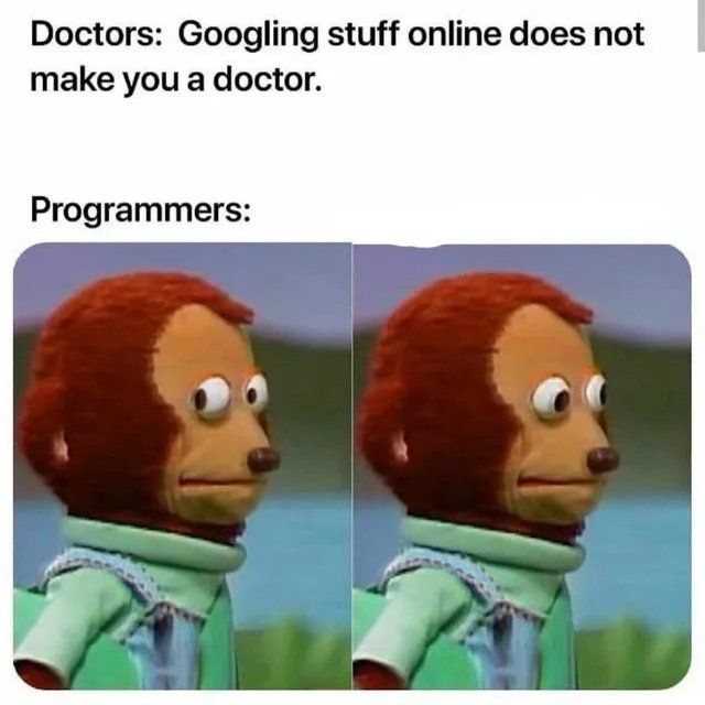 Programming Meme #1517