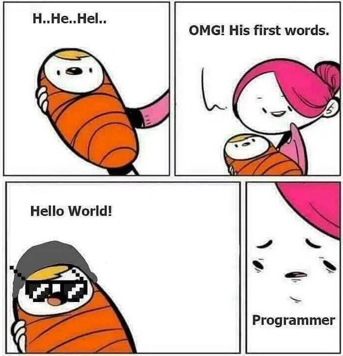 Programming Meme #1537