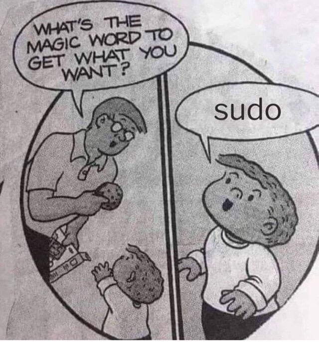 Programming Meme #1538