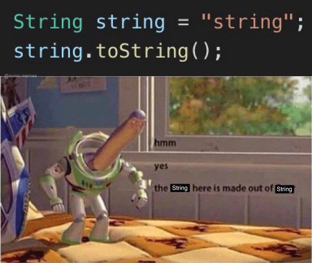 Programming Meme #1556