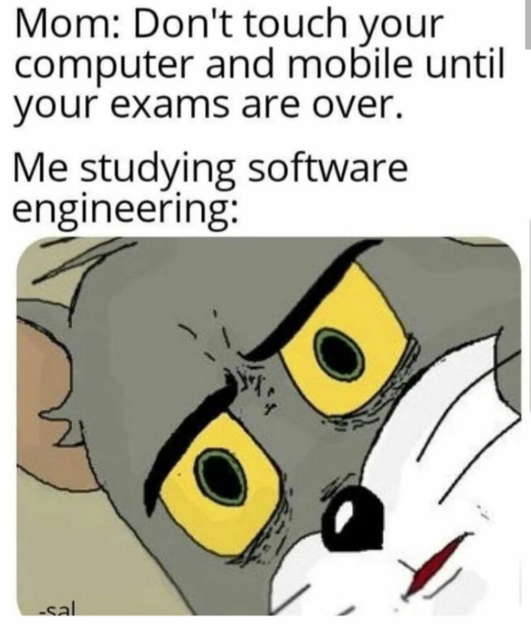 Programming Meme #1620