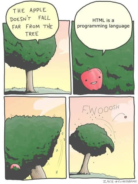 Programming Meme #1653