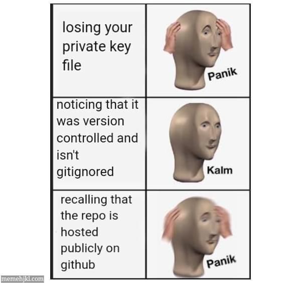 Programming Meme #1827