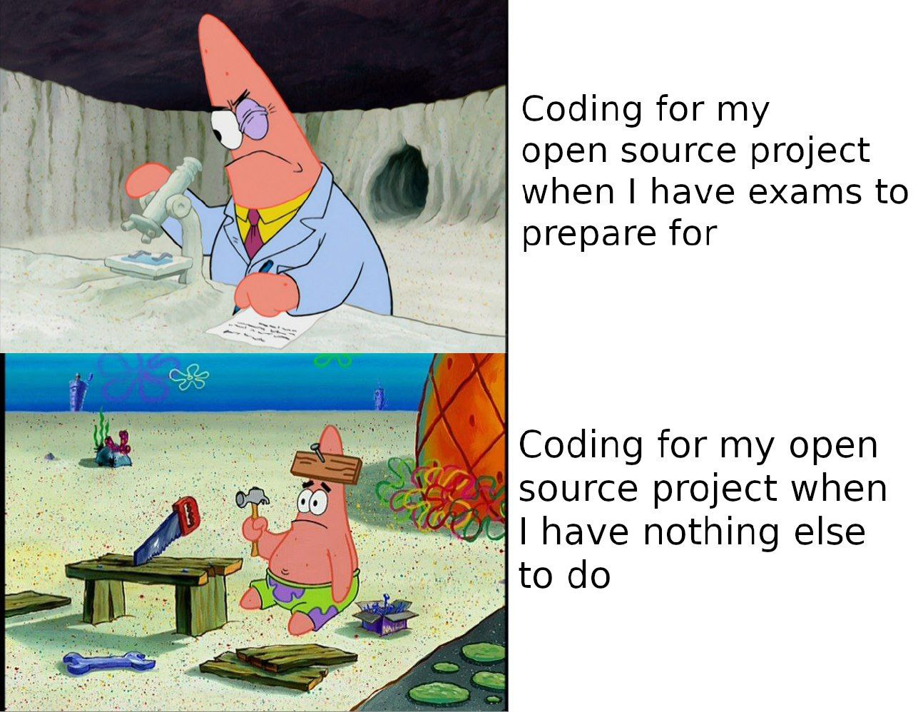 Programming Meme #1834