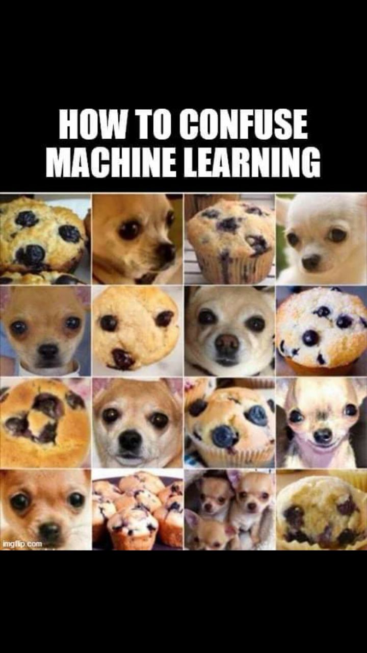 Programming Meme #1839