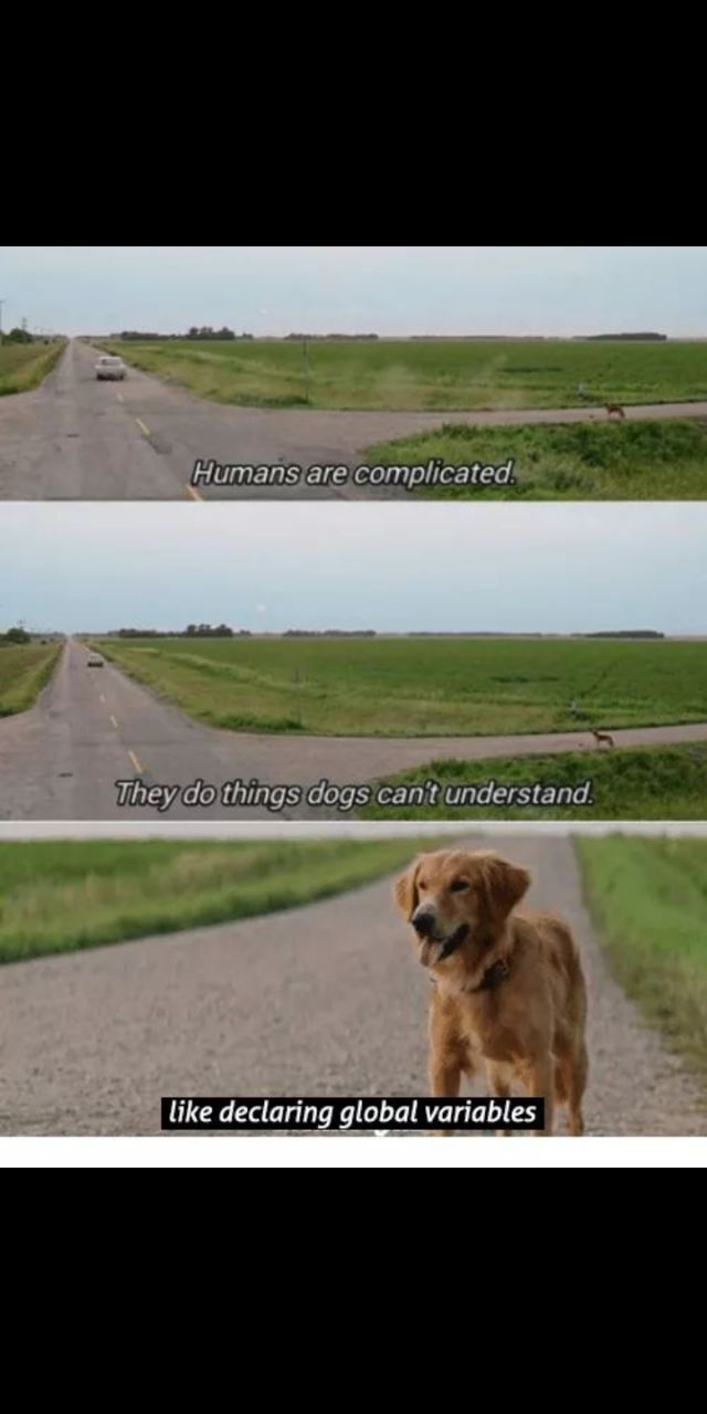 Programming Meme #1935