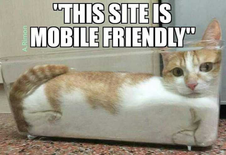 Programming Meme #1937