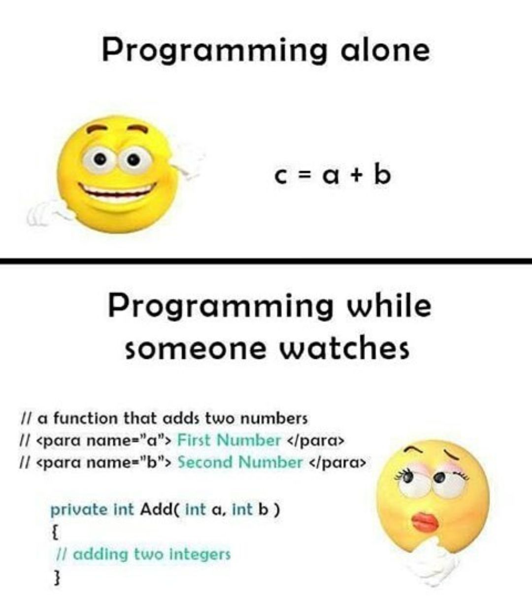 Programming Meme #1004