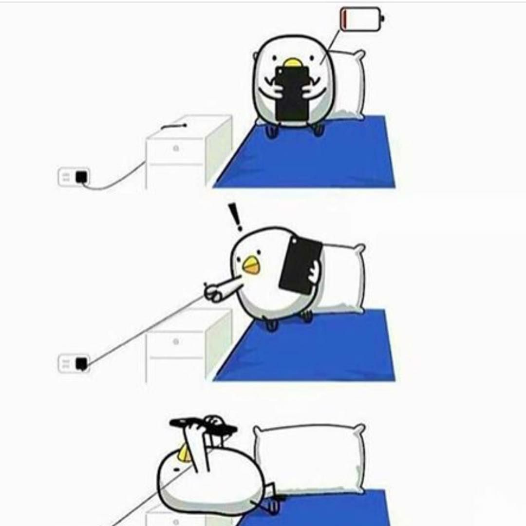 Programming Meme #1008