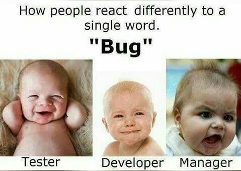 Programming Meme #1065