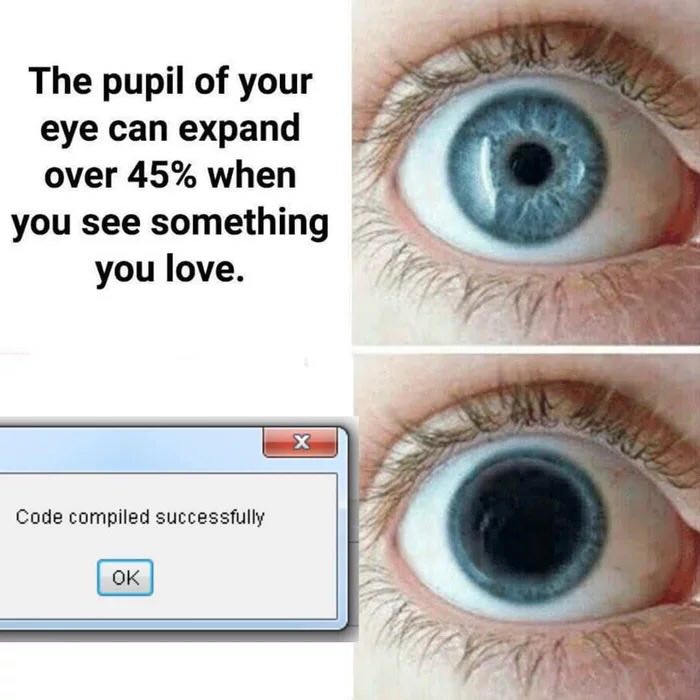 Programming Meme #1089