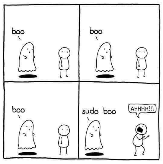 Programming Meme #1120