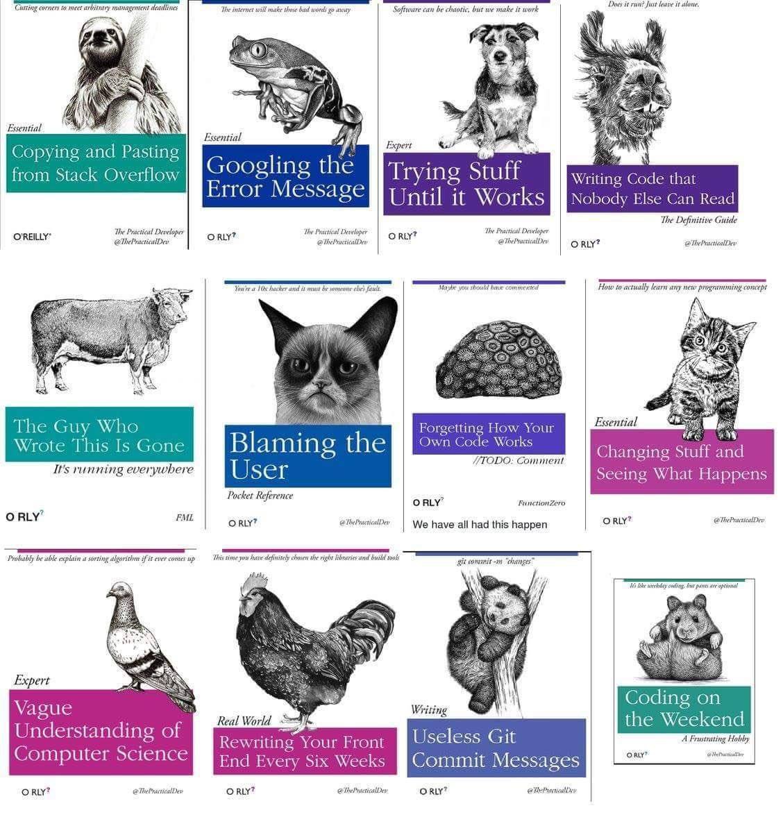 Programming Meme #1128