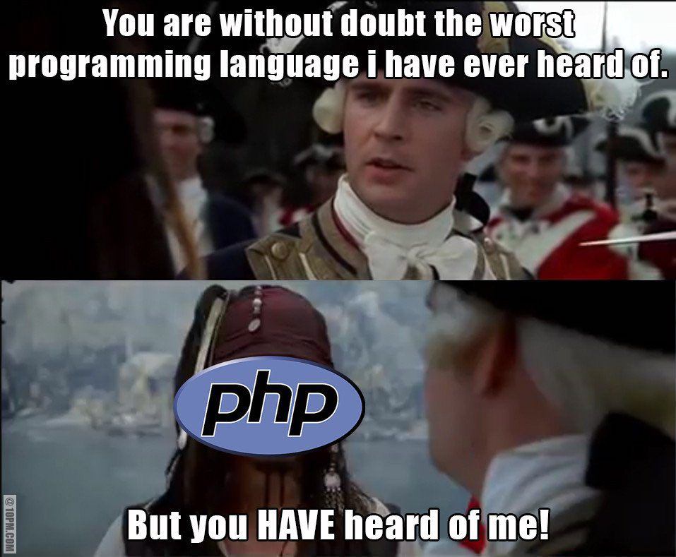 Programming Meme #335