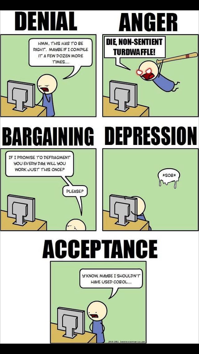 Programming Meme #338