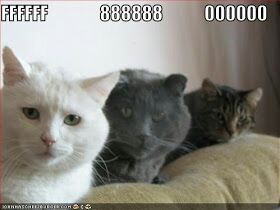 Programming Meme #410