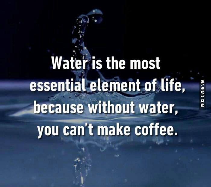 Programming Meme #421