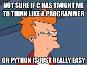 Programming Meme #484
