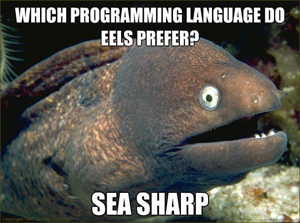 Programming Meme #490