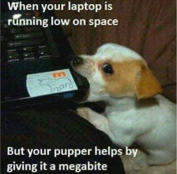 Programming Meme #505