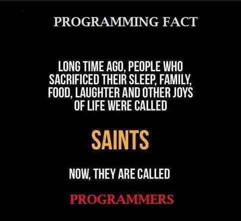 Programming Meme #533