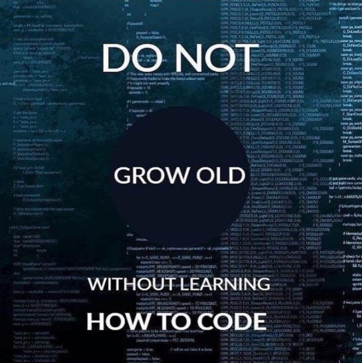 Programming Meme #613