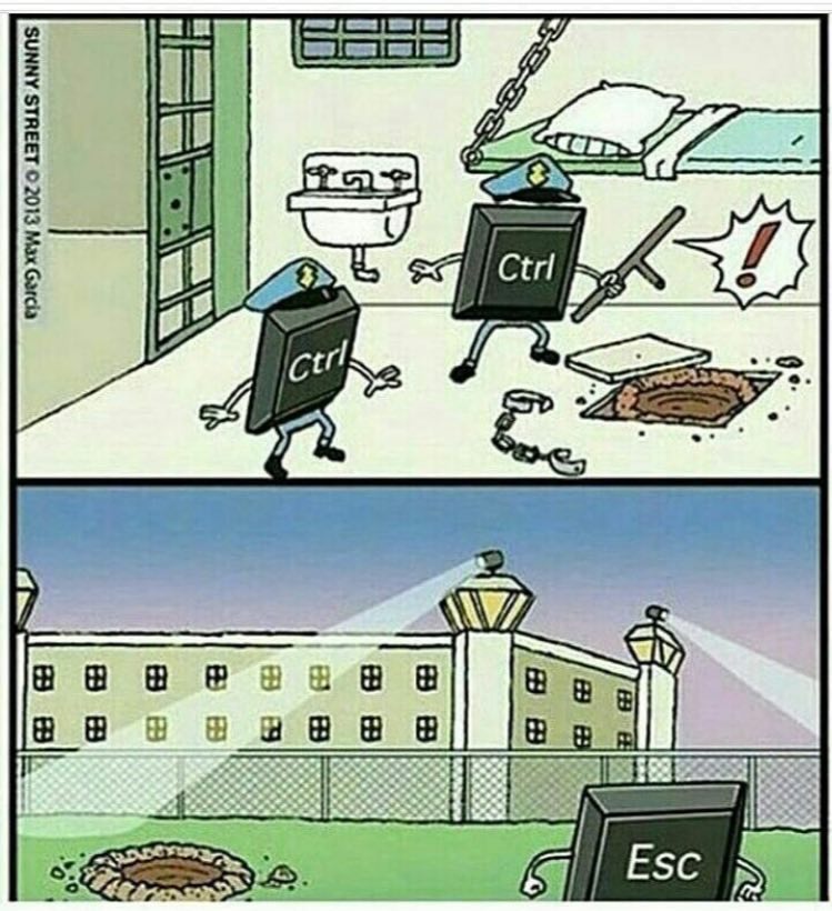 Programming Meme #773