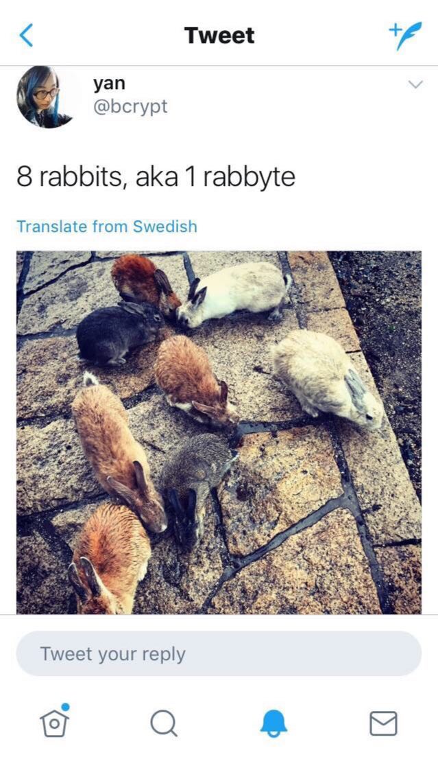 Programming Meme #775